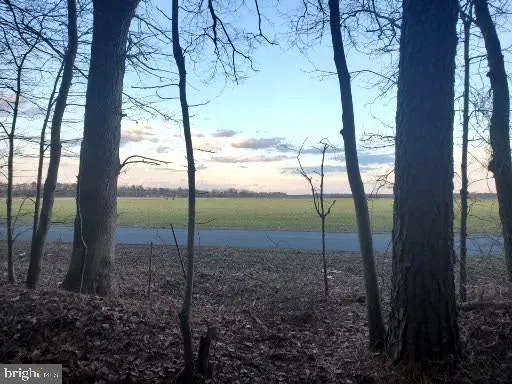 a view of a yard with a tree in the background