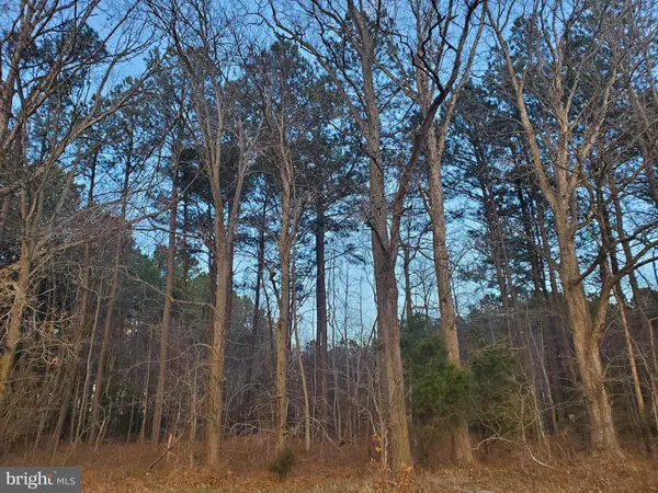 a view of outdoor space with chairs