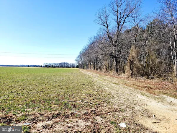 a view of a outdoor space