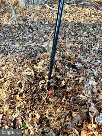 $125,000 | Gravel Branch Road, Hurlock, MD 21643