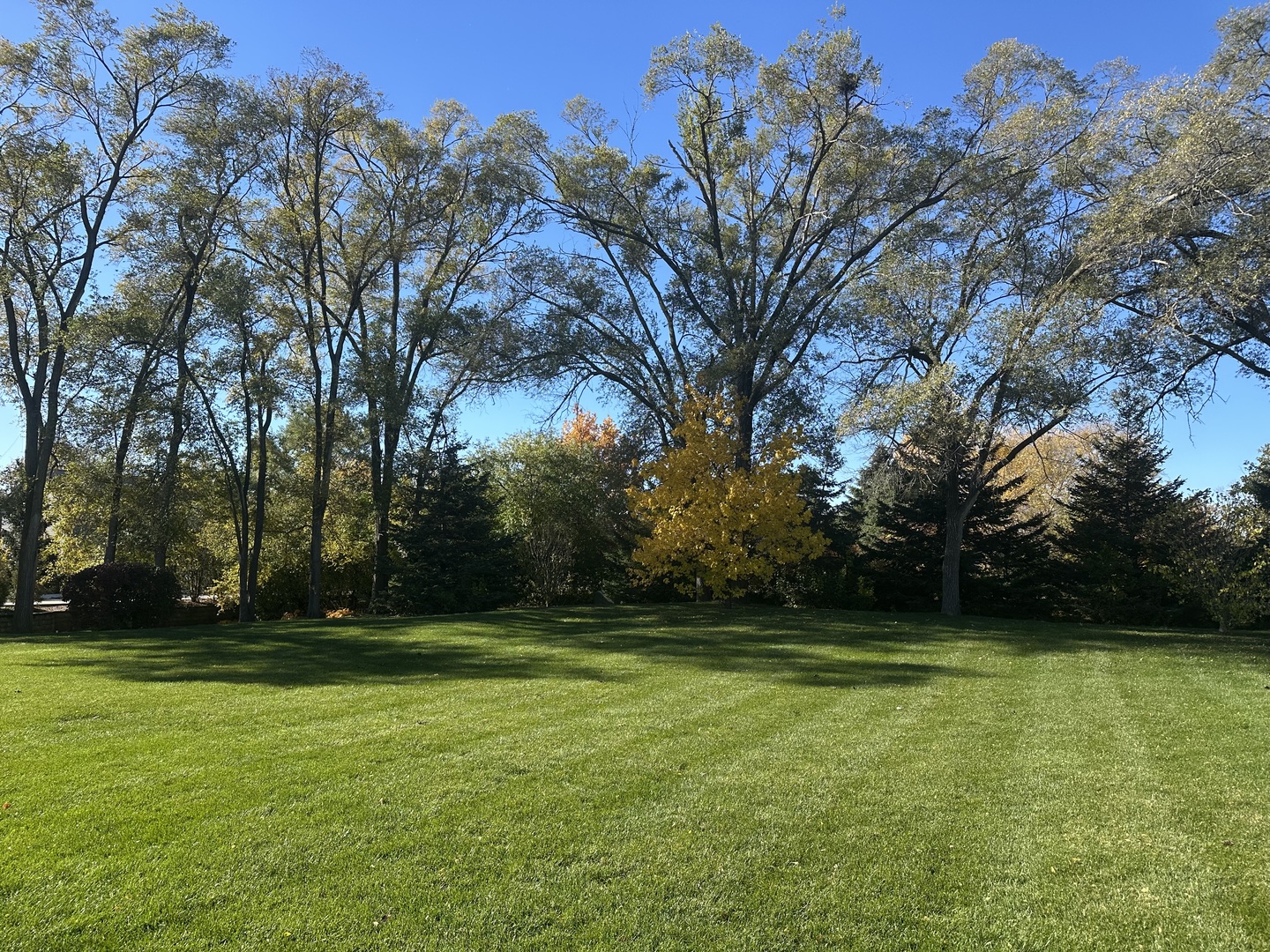 2024 North Old Hicks Road, Unit B6 Palatine, IL 60074 - Photo 3 of 17