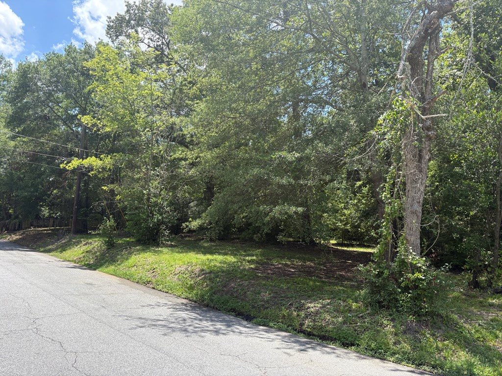 4017 Valley Road Columbus, GA 31907 - Photo 11 of 51
