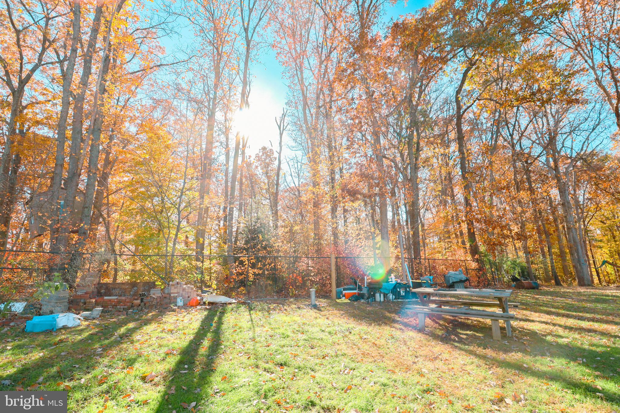 12704 Purcell Road Manassas, VA 20112 - Photo 45 of 47 a view of a yard with trees