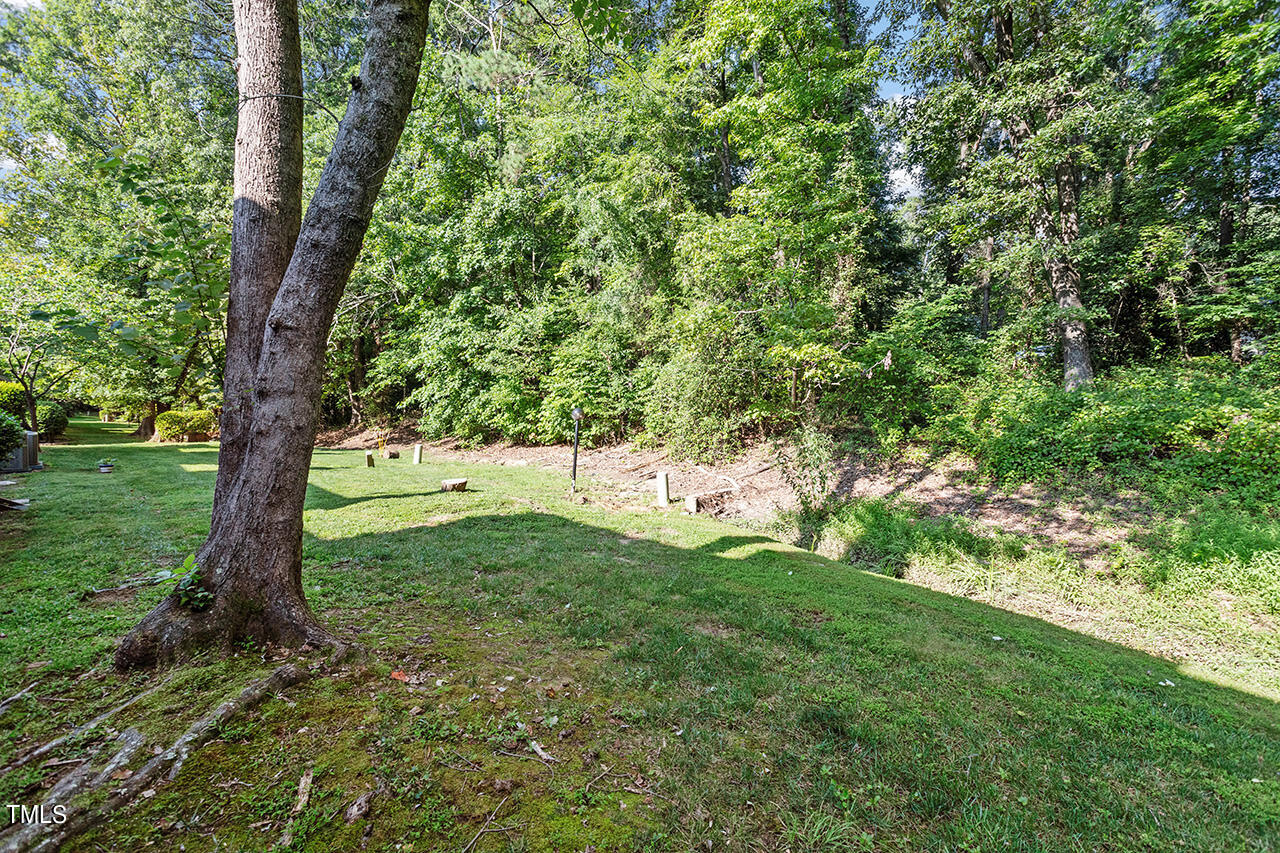 4100 Five Oaks Drive, Unit 46 Durham, NC 27707 - Photo 35 of 36 a view of backyard of a house with green space
