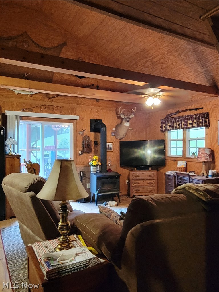 38126 Lower Clearfork Road Scio, OH 43988 - Photo 22 of 35