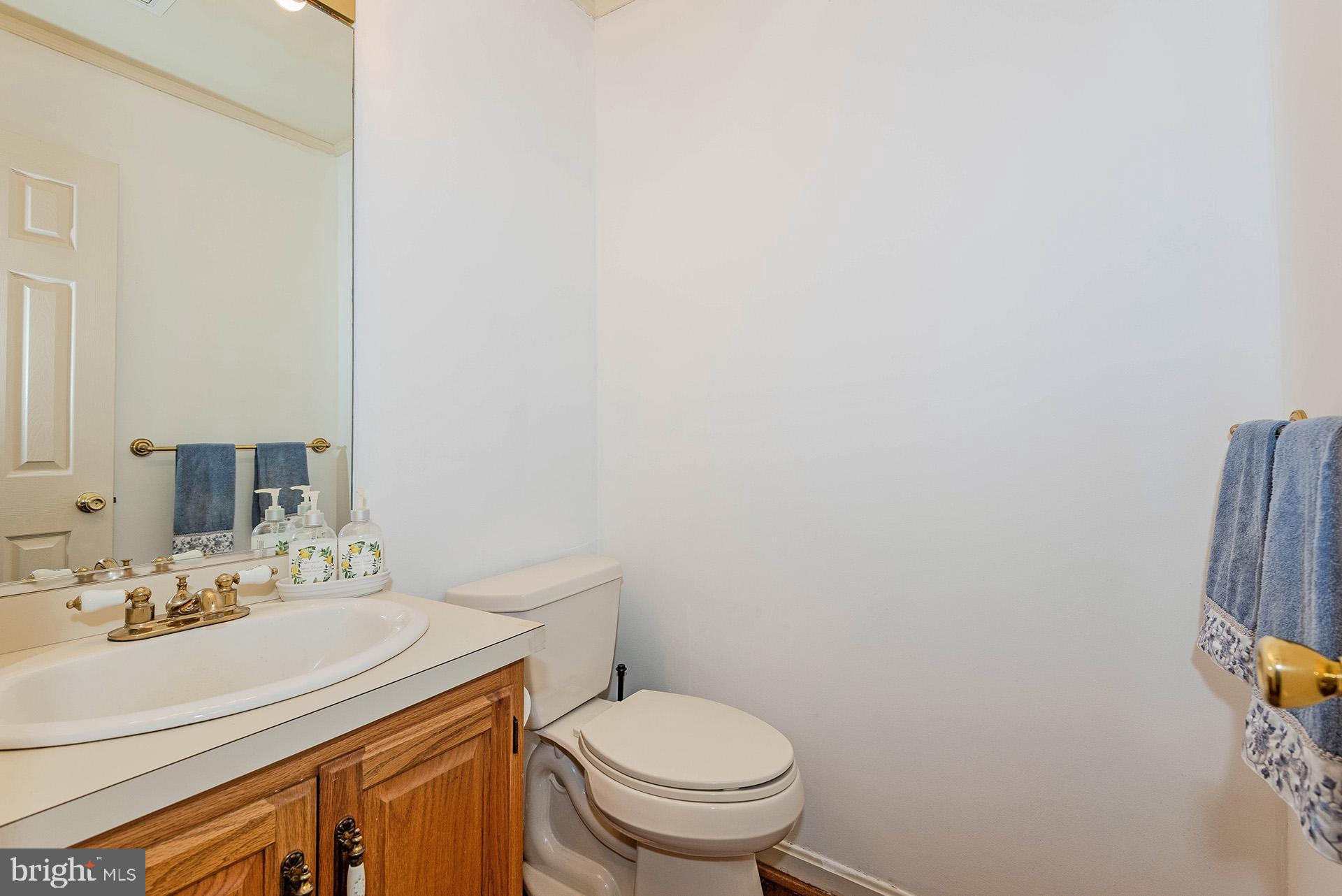 621 Wood Lot Trail Road Annapolis, MD 21401 - Photo 18 of 44 a bathroom with a sink a toilet and a mirror