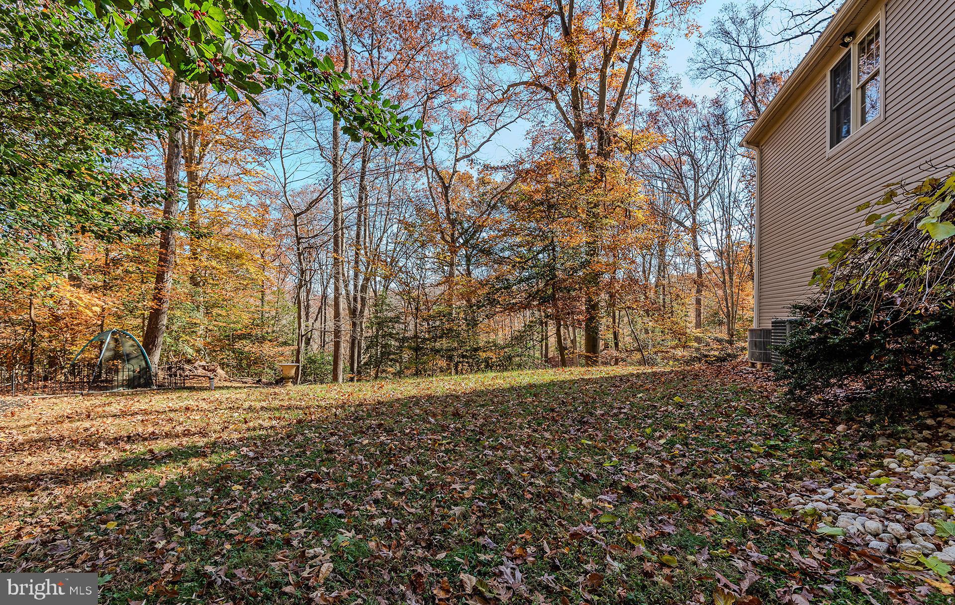 621 Wood Lot Trail Road Annapolis, MD 21401 - Photo 42 of 44 a view of a yard with large trees
