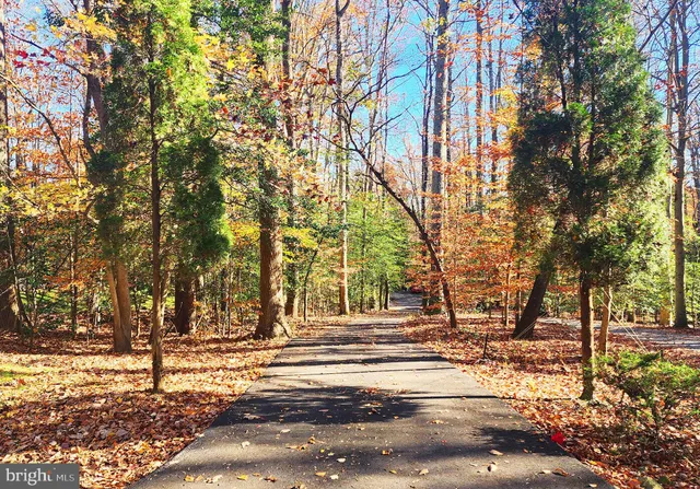 a view of road and trees