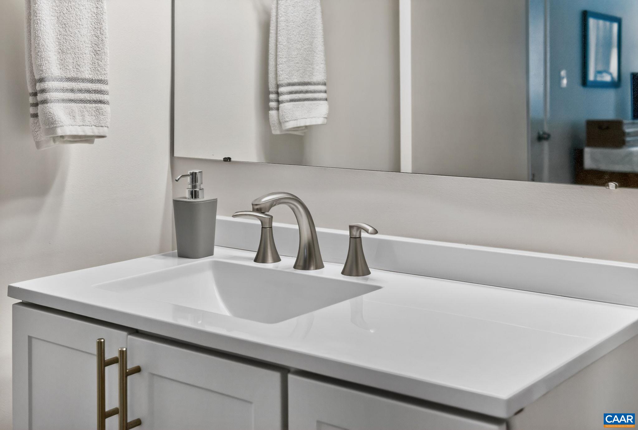 114 Turtle Creek Road, Unit 4 Charlottesville, VA 22901 - Photo 14 of 41 a close view of sink and tap