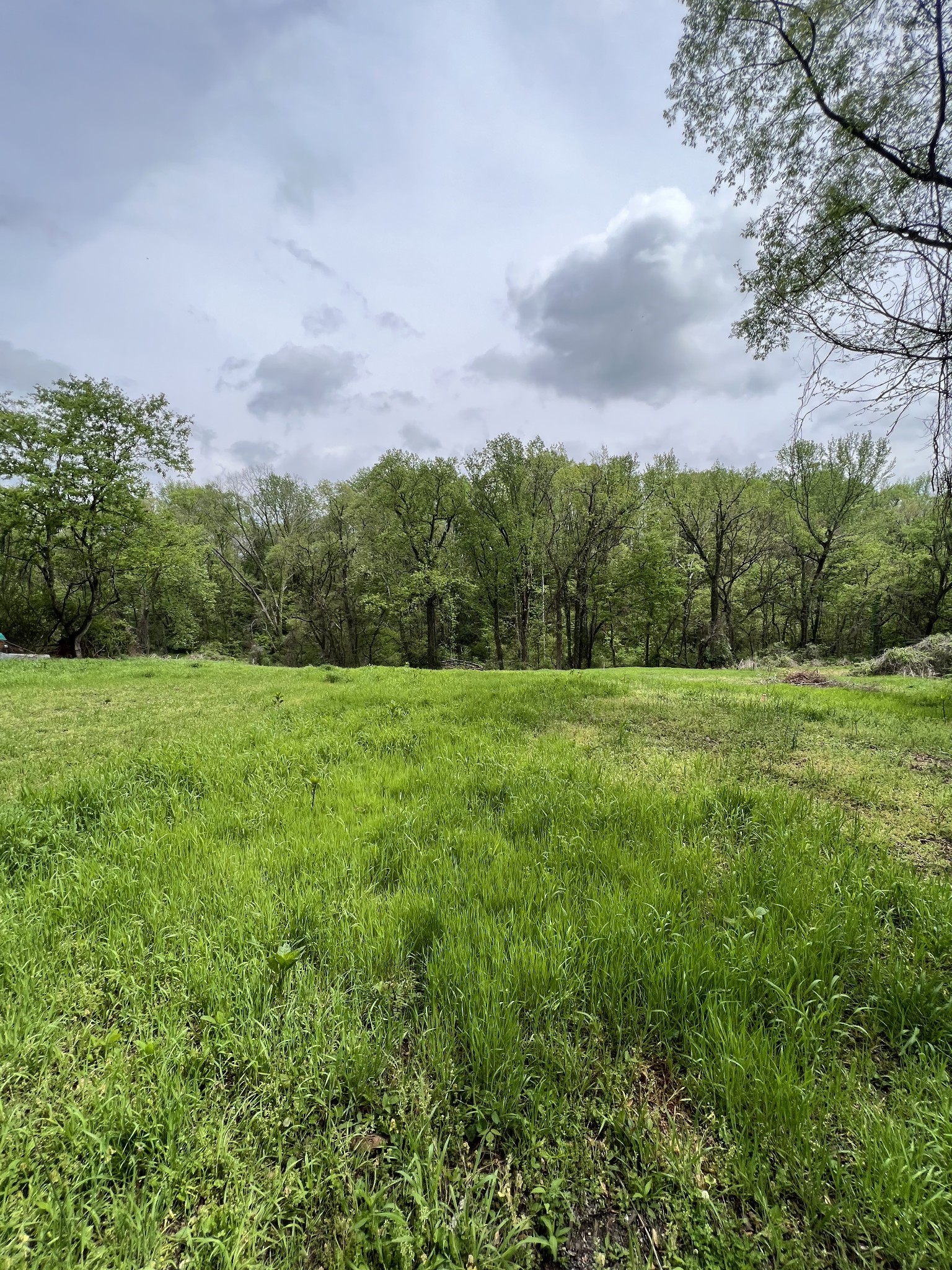 0 Bowman Street Carthage, TN 37030 - Photo 2 of 5 a view of a green field with wooden fence