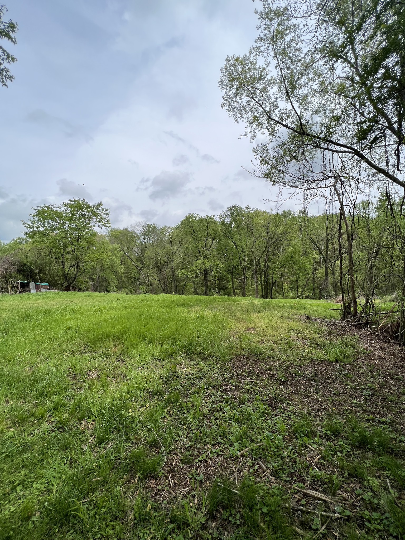 0 Bowman Street Carthage, TN 37030 - Photo 3 of 5 a view of a green field with wooden fence