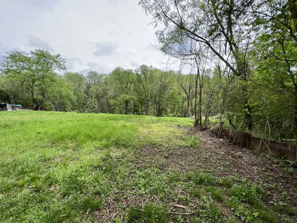 a view of a field with trees in the background