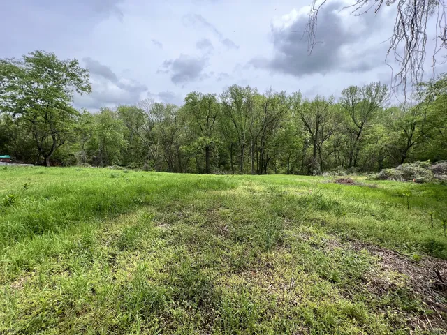 a view of a field with trees in the background