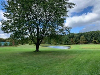 627 Pultz Hill Road Owego, NY 13827 - Photo 3 of 37 Gallery Image 3
