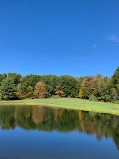 627 Pultz Hill Road Owego, NY 13827 - Photo 4 of 37 Gallery Image 4