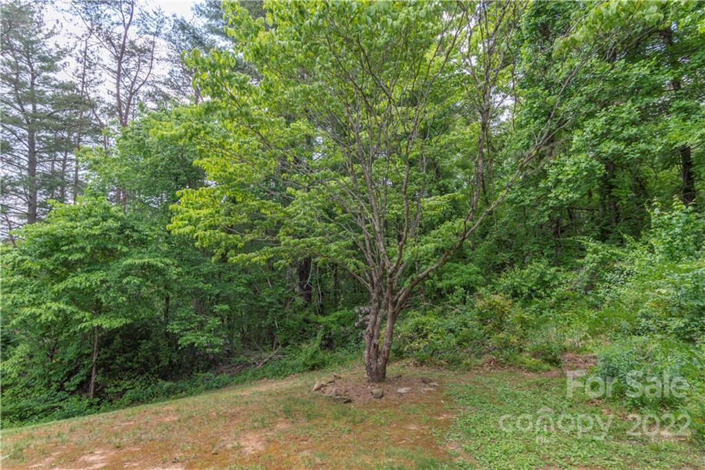 74 Gibson Road Asheville, NC 28804 - Photo 3 of 18 Gallery Image 3