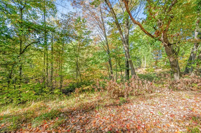 $235,000 | 2447 West Lake Shore Drive, Bitely, MI 49309