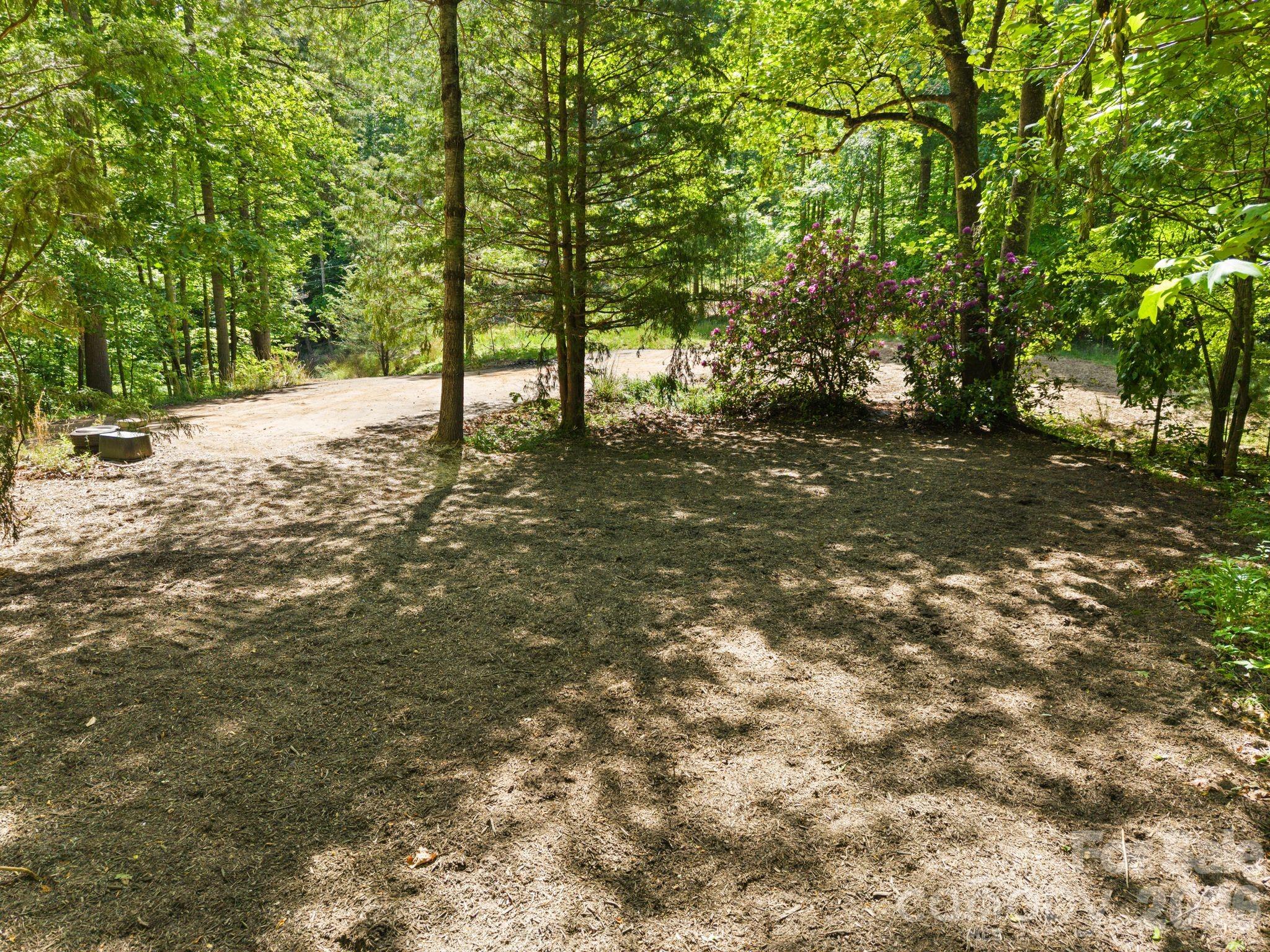 31 White Bridge Road Weaverville, NC 28787 - Photo 4 of 14
