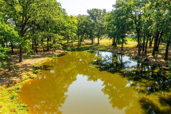 a view of an ocean from a yard