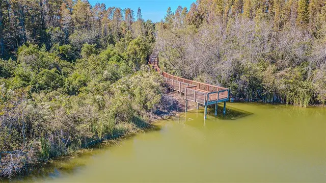 $820,000 | 32139 Firemoss Lane, Wesley Chapel, FL 33543