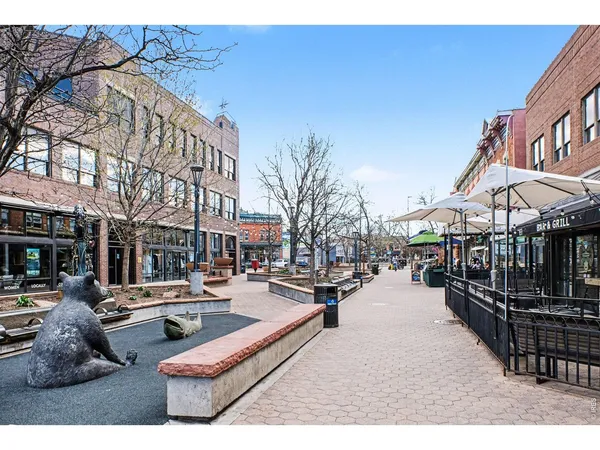 a park with large trees