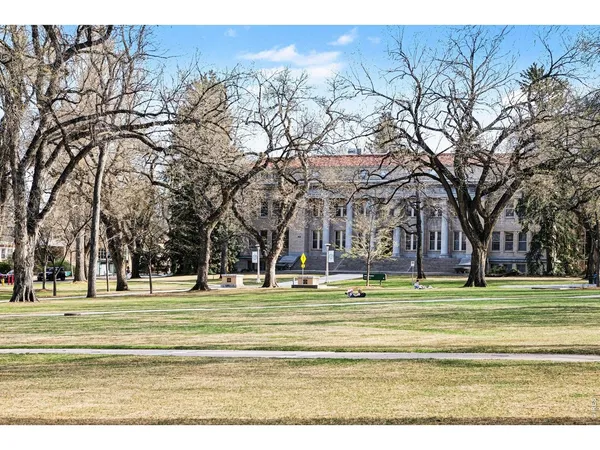 a view of road and trees