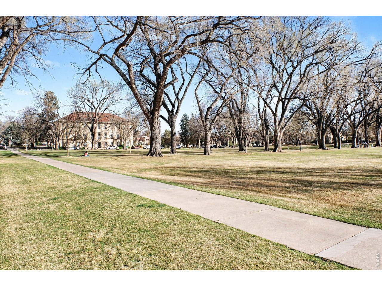 415 South Howes Street, Unit 910N Fort Collins, CO 80521 - Photo 44 of 46 Perfect location for students, teachers, or anyone who wants to lay under these trees!