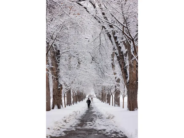 $455,000 | 415 South Howes Street, Unit 910N, Fort Collins, CO 80521