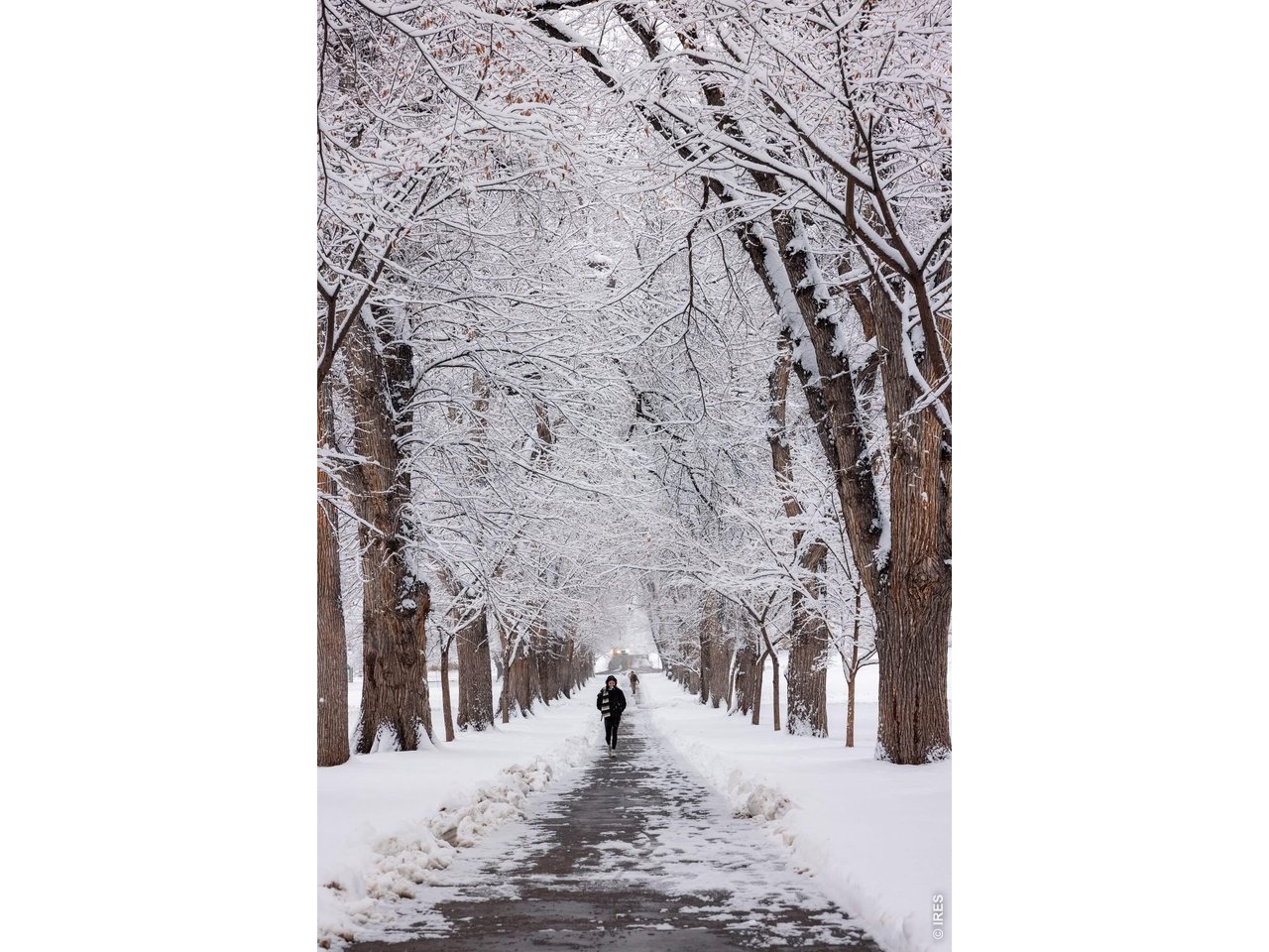 415 South Howes Street, Unit 910N Fort Collins, CO 80521 - Photo 45 of 46 The Oval in the Winter - DREAMY