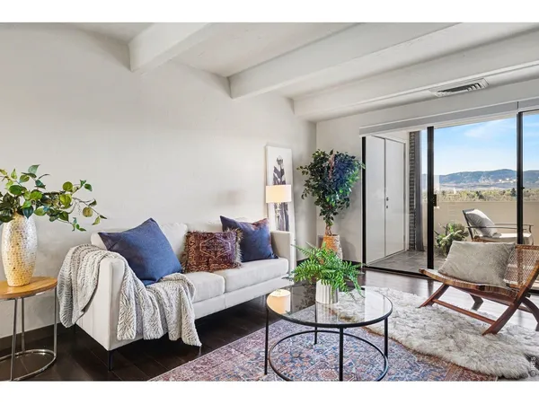 a living room with furniture and a potted plant