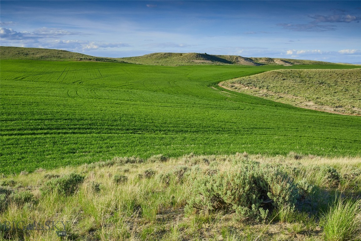 Three Shoddy Springs Road Three Forks, MT 59752 - Photo 13 of 24 Gallery Image 13