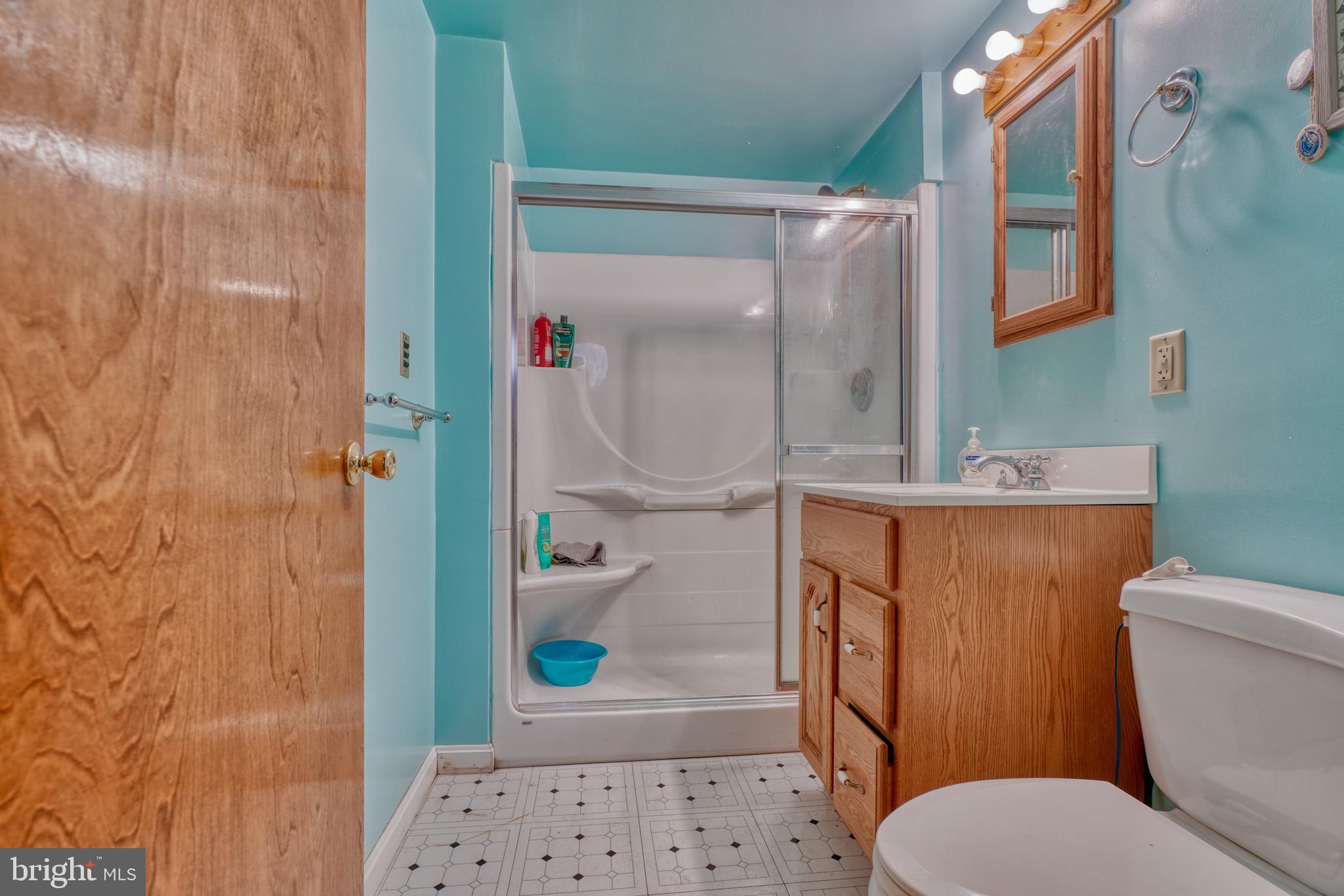 20800 Keeney Mill Road Freeland, MD 21053 - Photo 76 of 77 Basement Bath