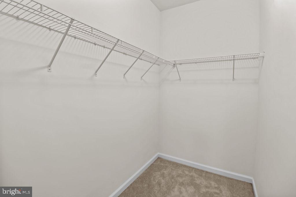 149 Short Branch Road Stafford, VA 22556 - Photo 22 of 35 Walk-in Closet