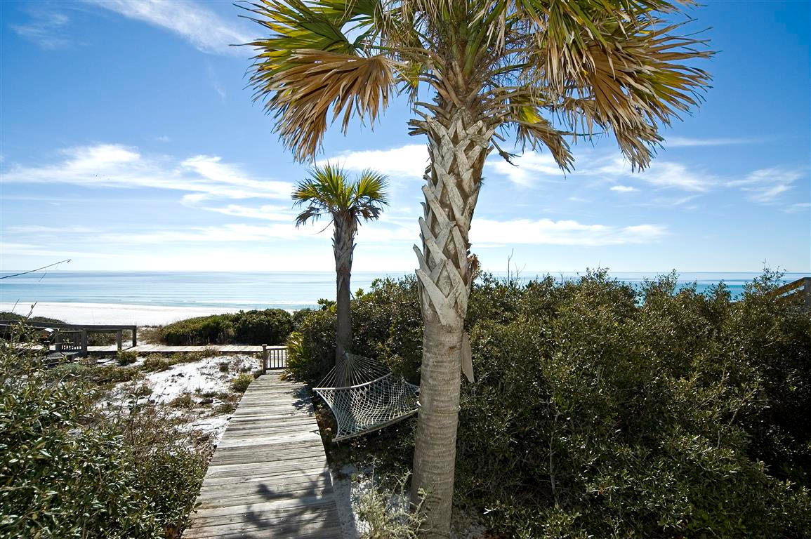 Lot 66 Old Beach Road Santa Rosa Beach, FL 32459 - Photo 9 of 12 a view of a yard and ocean view