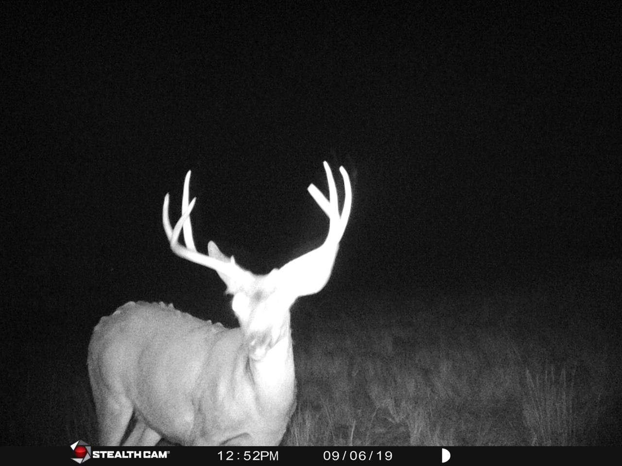 Xxx Rickman Gulch Road Pomeroy, WA 99347 - Photo 1 of 17