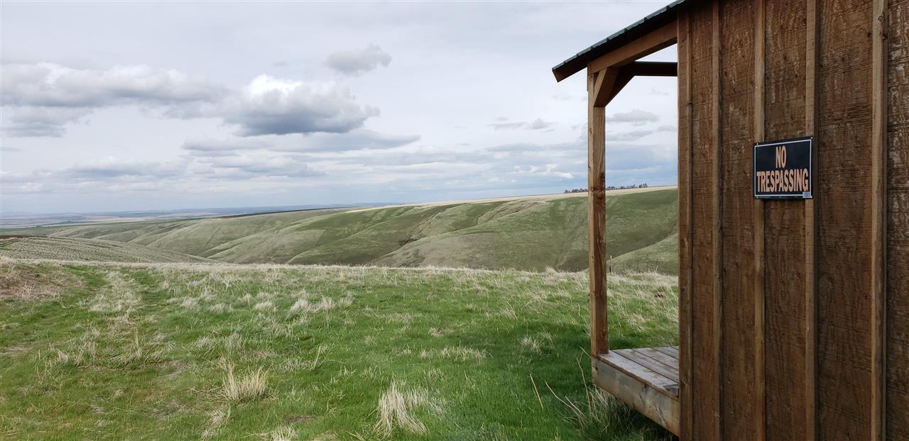 Xxx Rickman Gulch Road Pomeroy, WA 99347 - Photo 5 of 17