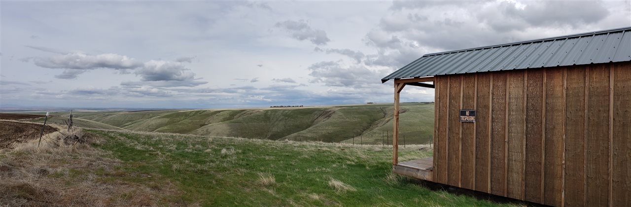 Xxx Rickman Gulch Road Pomeroy, WA 99347 - Photo 6 of 17