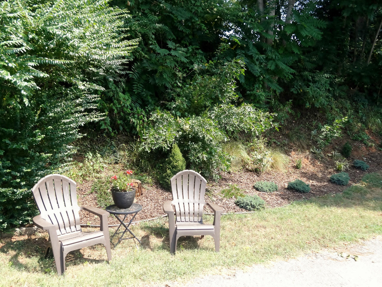 150 Old Furnace Road Rocky Mount, VA 24151 - Photo 26 of 30 Old Furnance yard 01 (1280x962)