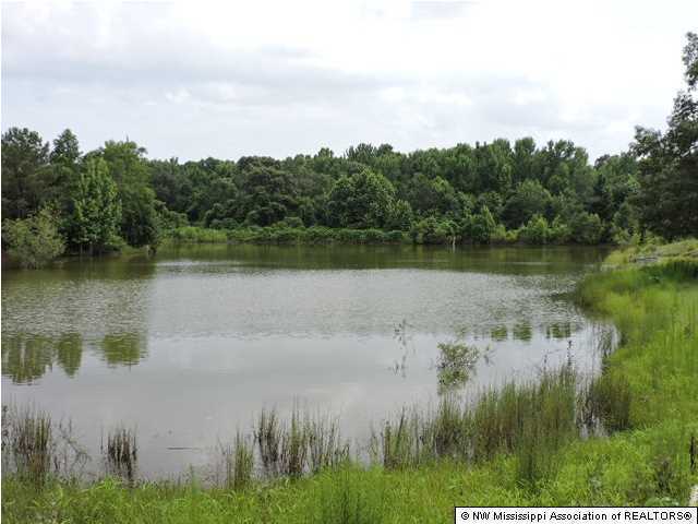 4639 Hernando Road Holly Springs, MS 38635 - Photo 11 of 15 Additional Photo