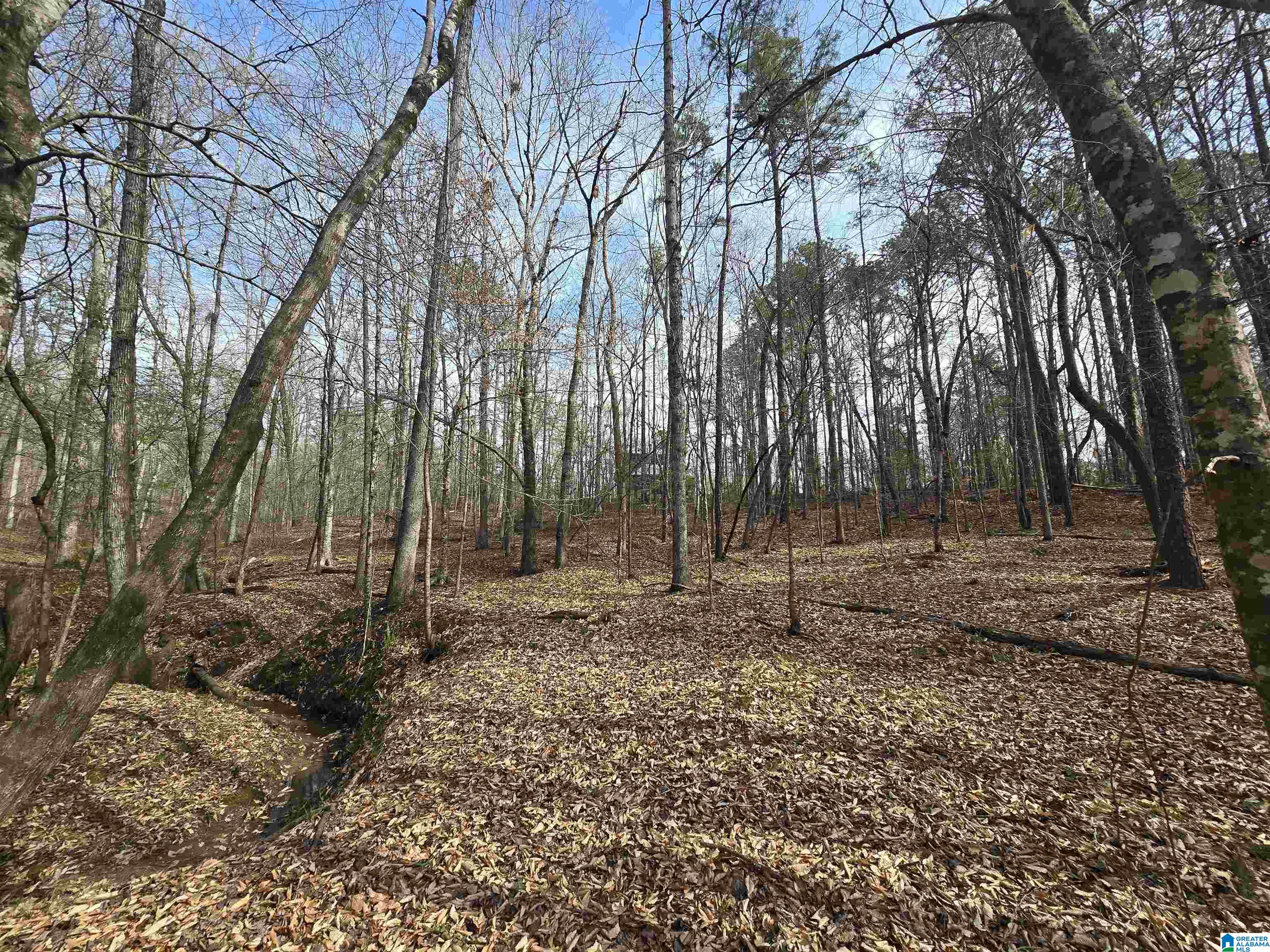 354 Springwell Road Rockford, AL 35136 - Photo 17 of 68