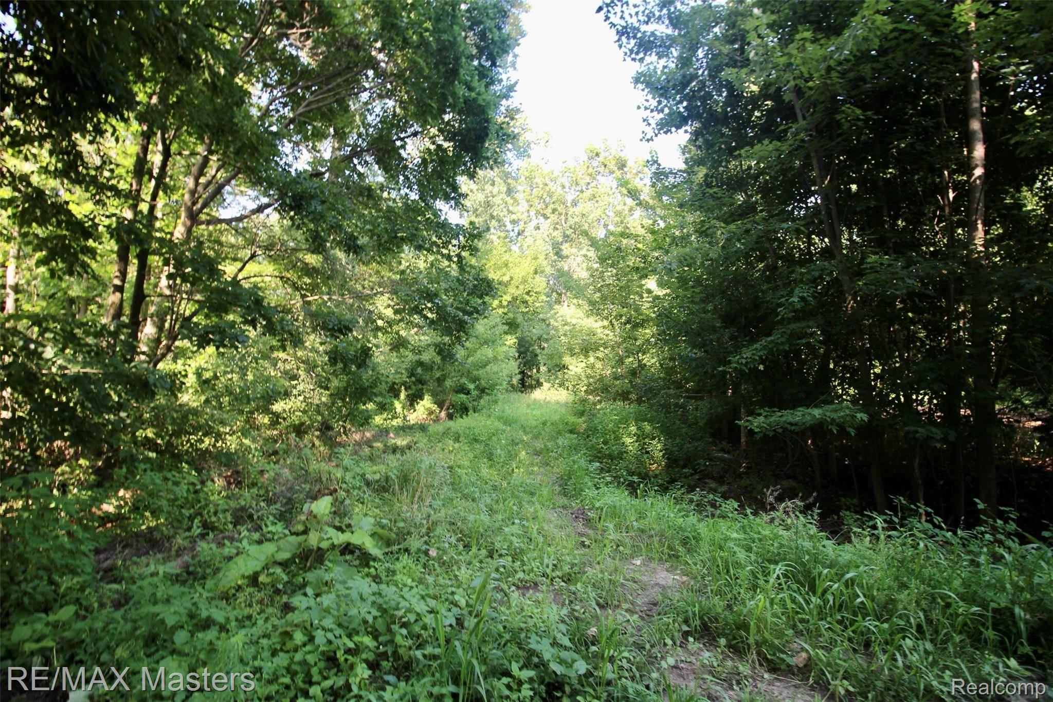 12040 Creek Road Carleton, MI 48117 - Photo 41 of 47 IMG_8175.JPG