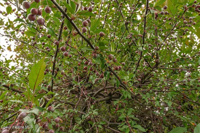 $1,274,900 | 2145 West Grange Avenue, Post Falls, ID 83854