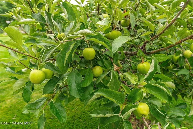 $1,274,900 | 2145 West Grange Avenue, Post Falls, ID 83854