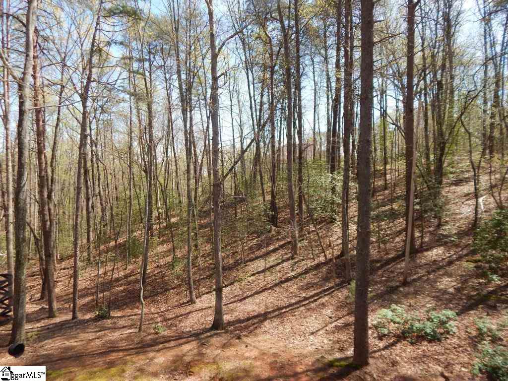336 Tanyard Road Greenville, SC 29609 - Photo 31 of 33