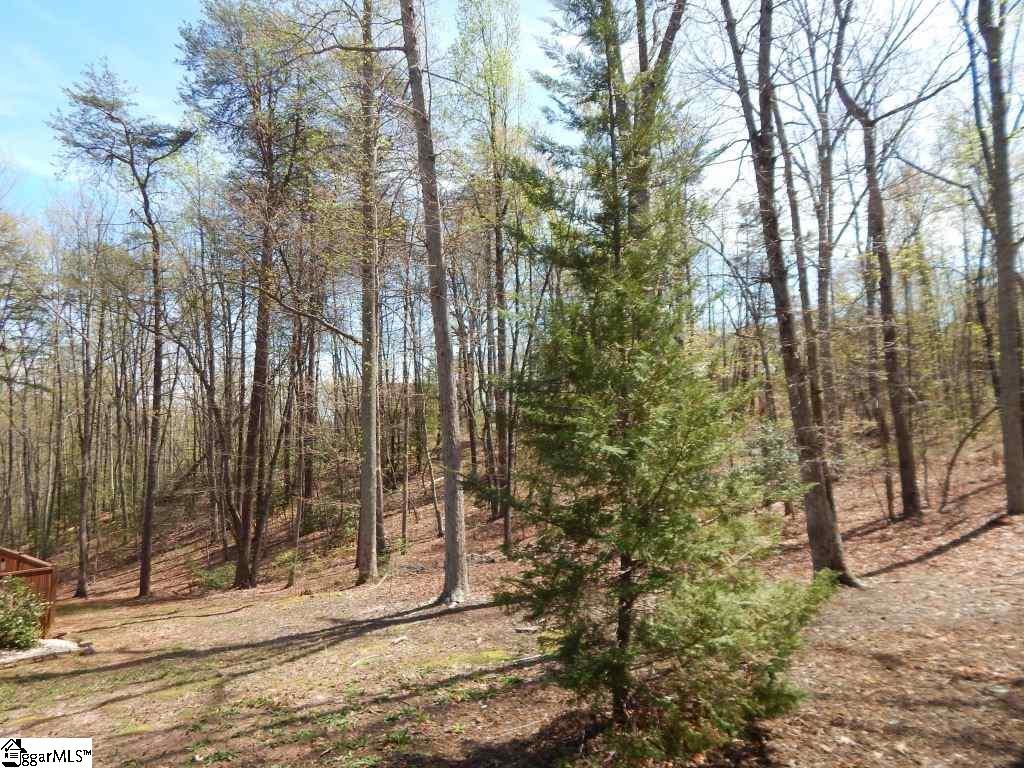 336 Tanyard Road Greenville, SC 29609 - Photo 32 of 33