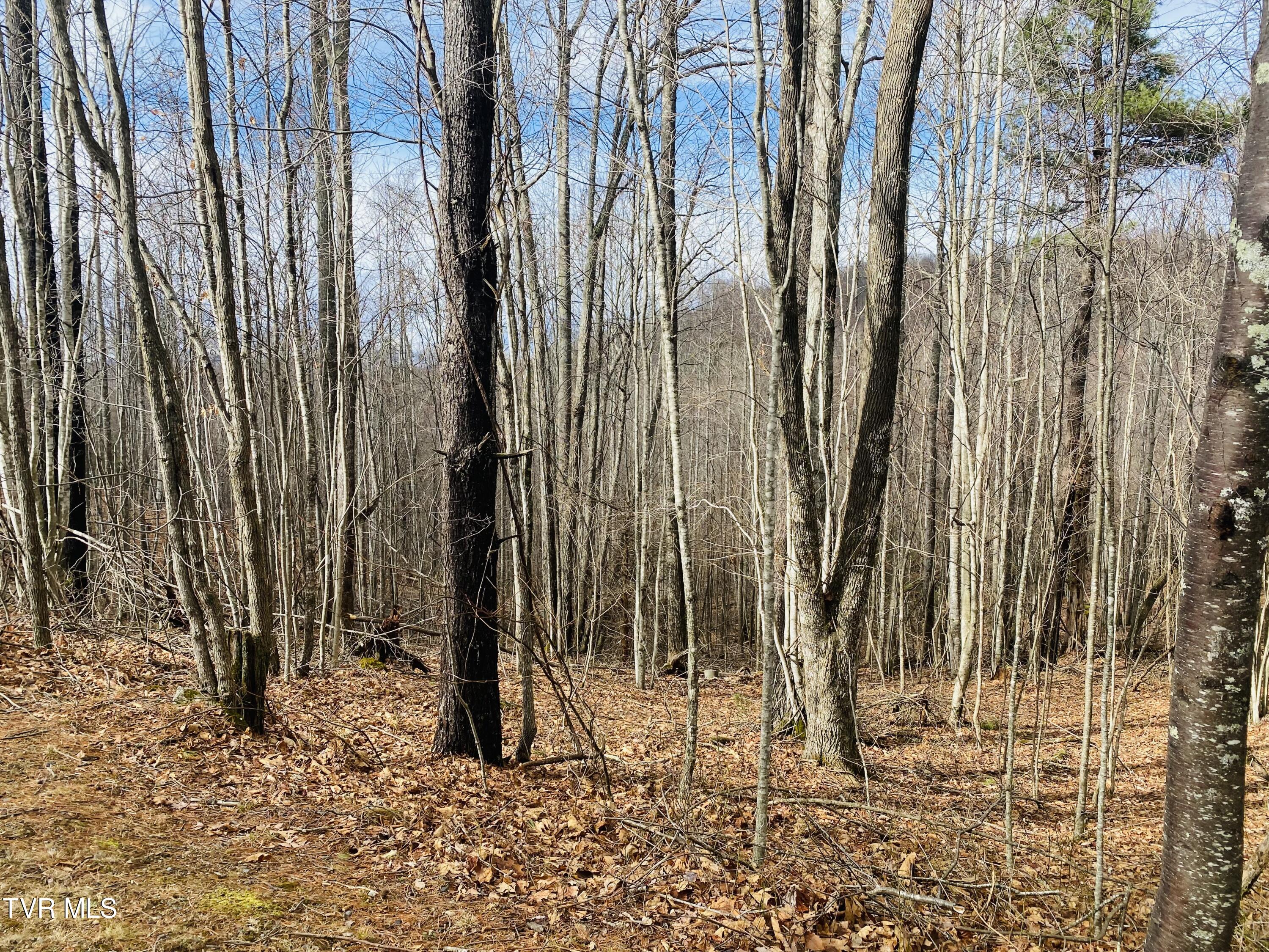 0 South Dry Branch Road Elizabethton, TN 37643 - Photo 3 of 4 IMG_3231