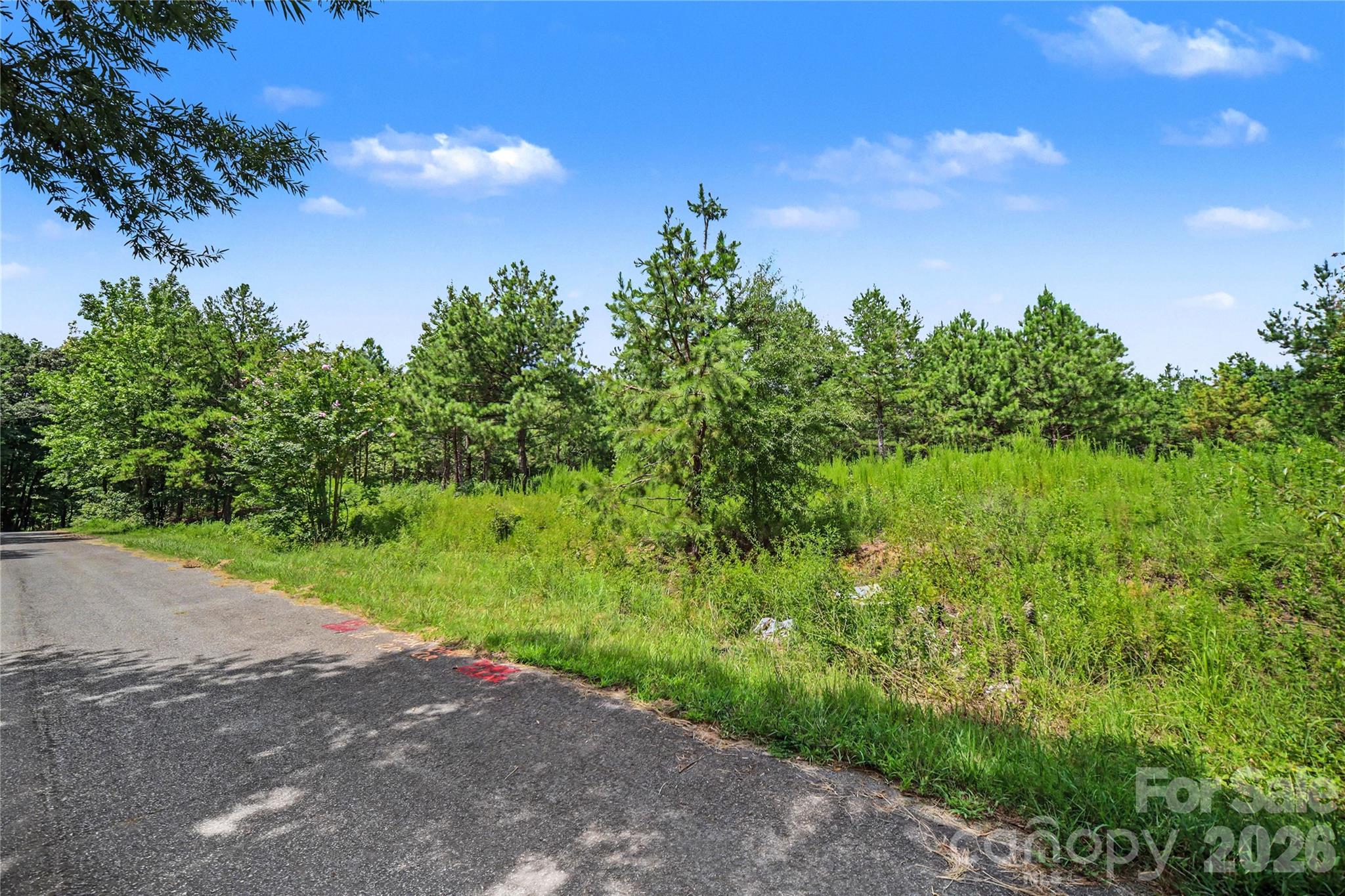 2402 Simfield Church Road Matthews, NC 28104 - Photo 19 of 21 Gallery Image 19