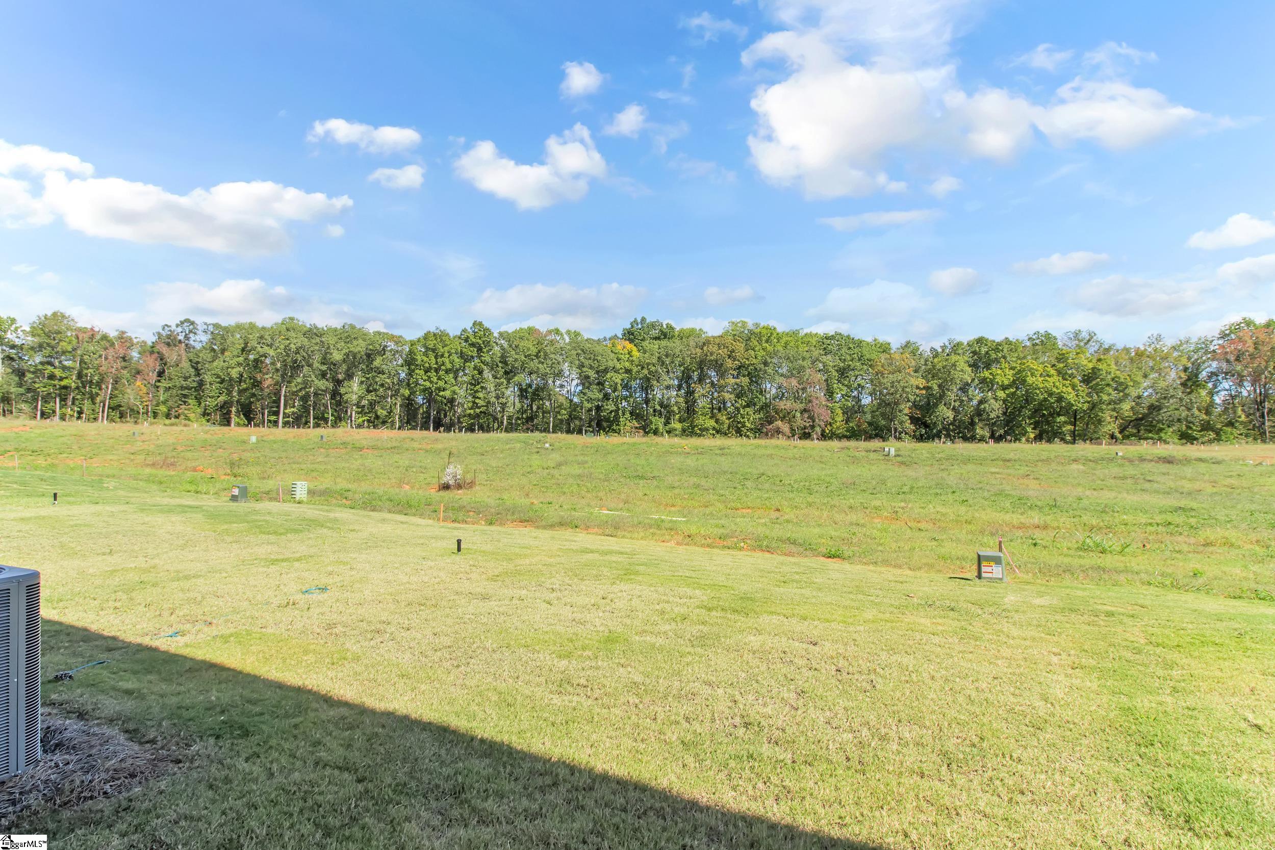 3040 Whispering Willow Court Inman, SC 29349 - Photo 30 of 35