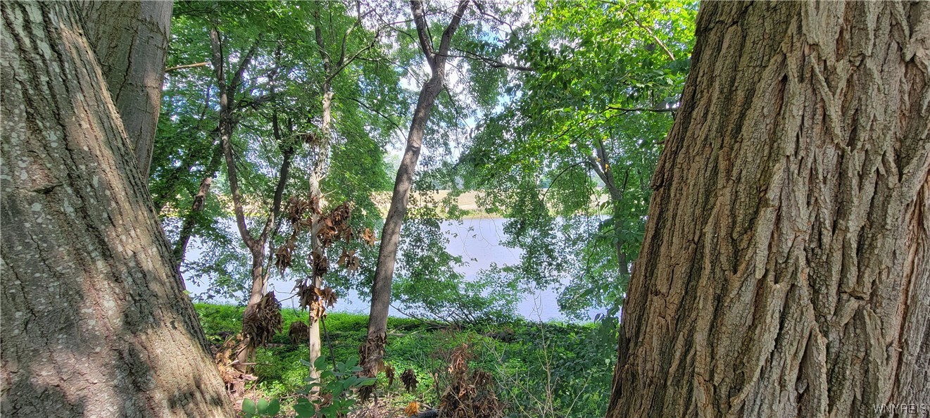 152 West Riverside Drive Olean City, NY 14760 - Photo 13 of 48