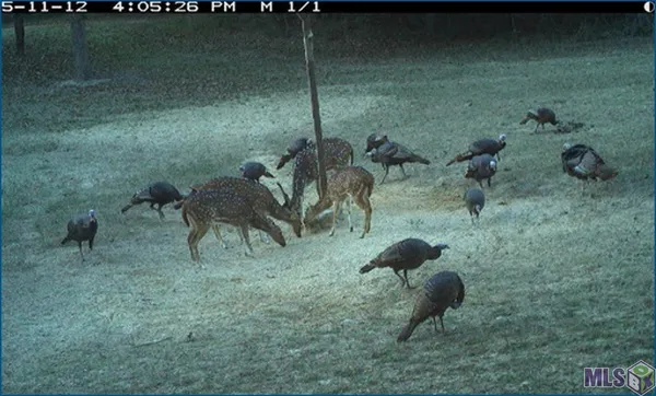 $14,100,000 | 4240-jana 4240-jana Lane, Perkinston, MS 39573